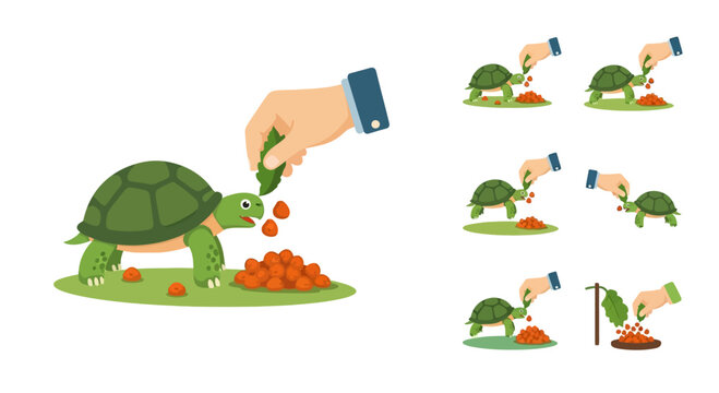 Cartoon Tortoise Feeding Vector Illustration Set