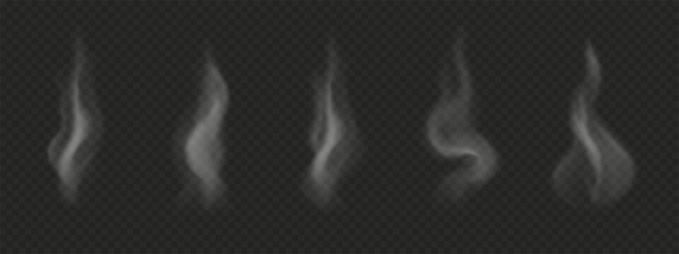 Vector vertical smoke from hot food and coffee. Wavy semi transparent steam isolated on dark background