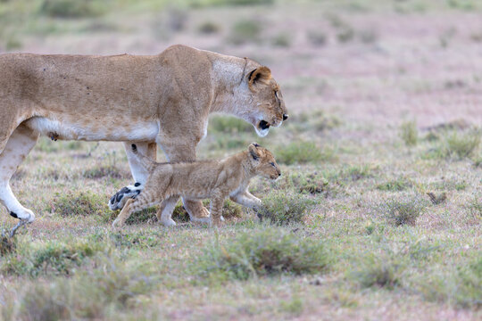 Exploring with Mom