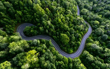 Fototapeta premium Drone Aerial View of Winding Road Through Lush Green Forest