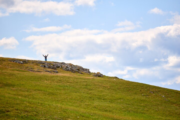 Lonely figure stands atop grassy hill © Iurii Gagarin
