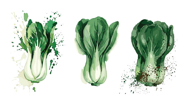 Watercolor bok choy set with green paint splatters on white background