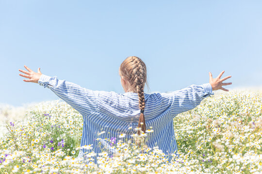 Rear view little girl with braided hair stands in a field of white daisies, arms outstretched against a clear blue sky, wearing a striped shirt and enjoying nature. Happiness and freedom concept