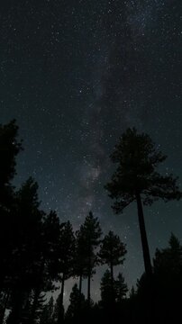 Vertical Shot of Milky Way Galaxy in South Sky Above Los Padres Forest Astrophotography Time Lapse California USA
