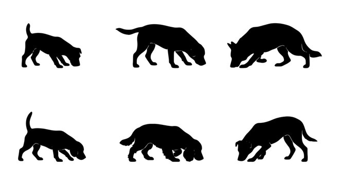 Black dog silhouettes sniffing ground, set of 6 canine vector icons, hunting dog tracking trail