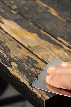 Man scraping loose peeling black paint off a wooden outdoor patio table. Garden DIY chore concept.