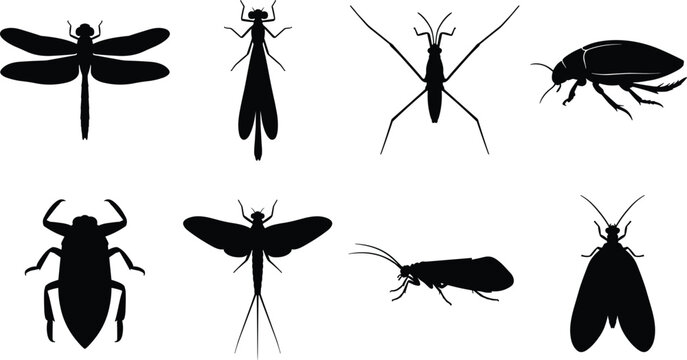 Aquatic Insects Silhouettes Set Featuring Dragonfly Damselfly Water Strider Mayfly and Giant Water Bug