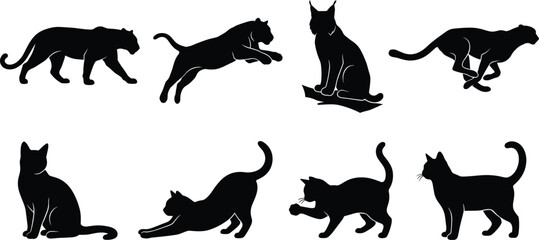 Big wild cats and domestic feline silhouette vector collection featuring lions tigers and cats isolated on white background © Faruk