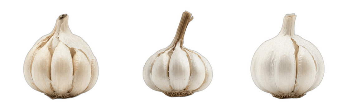 Fresh garlic bulbs isolated on a transparent PNG background, high-quality set of organic raw garlic cloves for culinary recipes, grocery branding, restaurant menu design, and healthy cooking website a