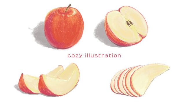 Hand-drawn Cozy Apple Illustration Set(whole, halved, sliced) / 手描きのやさしいりんごイラストセット（丸ごと・半分・スライス）