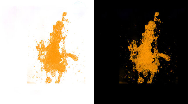 Comparative Visualization of 3D Protein Structures Highlighting Molecular Complexity and Intricacies