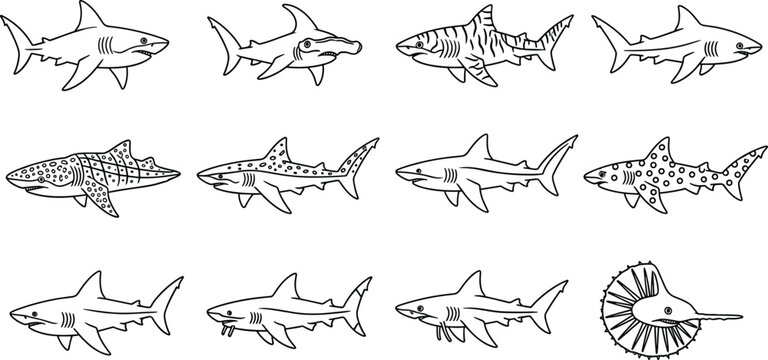 Shark Species Coloring Page Line Art Set with Great White Hammerhead Tiger Whale Leopard and Sawshark Outline Icons for Ocean Designs