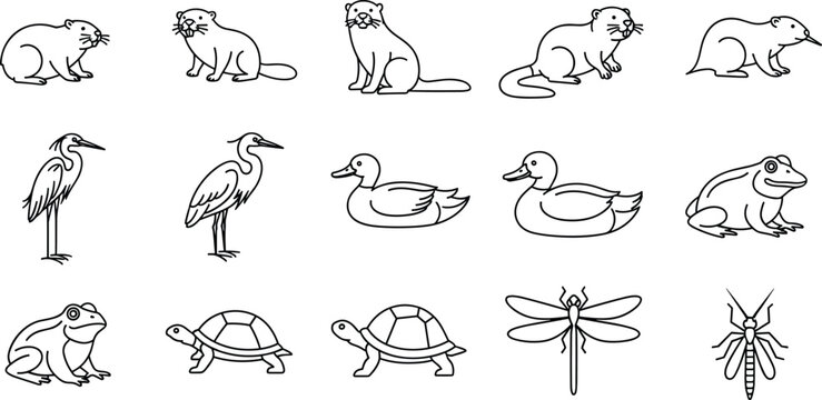 Wetland Animals Coloring Page Line Art Set with Beaver Otter Muskrat Heron Duck Frog Turtle and Dragonfly Outline Icons Collection