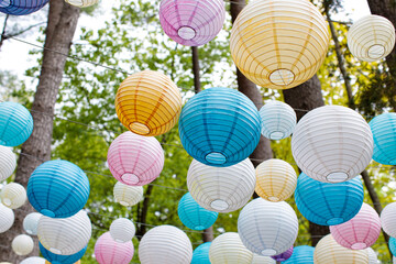 Colorful paper lanterns in the forest © Marissa