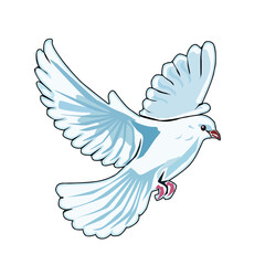 Fototapeta premium Vector illustration of a beautiful white dove soaring in the air with open wings, isolated on a white background. Concept of peace, freedom, and purity.