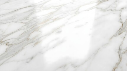 Obraz premium White carrara marble texture with gray and gold veins