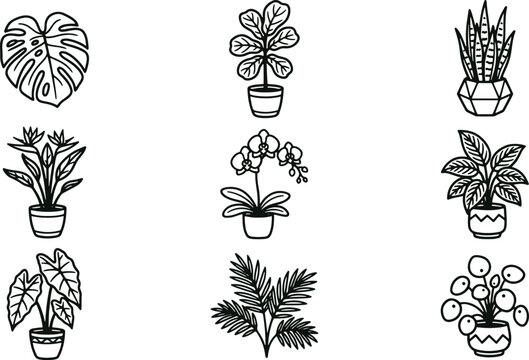 Set of black and white line featuring various indoor houseplants in decorative pots, including monstera, orchid, and palm