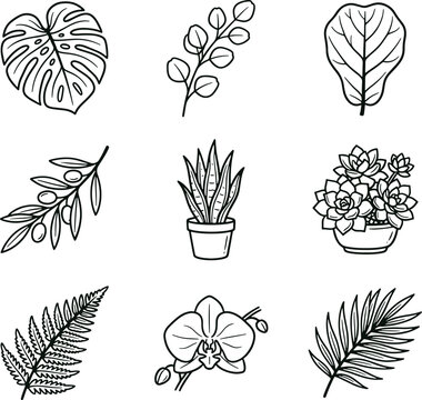 Set of botanical featuring monstera leaf, eucalyptus, fiddle leaf, olive branch, snake plant, succulents, fern, and orchid