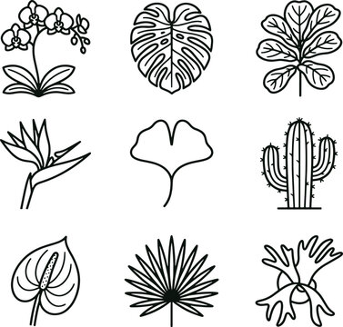 Set of tropical leaves and exotic flowers including orchid, monstera, ginkgo, cactus, and bird of paradise in a simple black line style