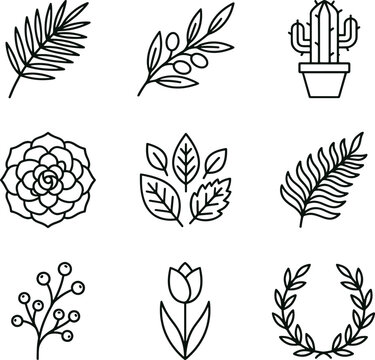Assorted botanical featuring leaves, flowers, succulents, and cactus in a black and white line set style