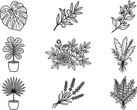 Assorted botanical and potted plants, black and white line collection featuring monstera leaf, olive branch, flowers, and bouquets
