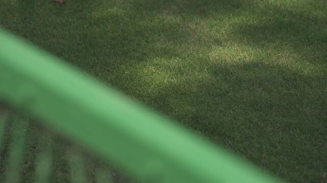 夏の競技場、フェンス越しに覗く青々とした芝生と揺れる木漏れ日