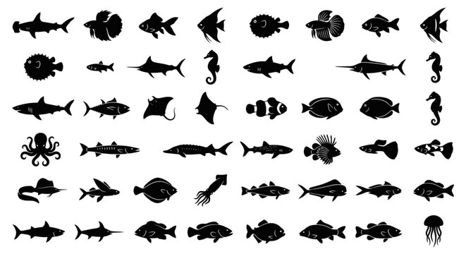 Black vector silhouettes of various sea animals including fish, octopus, shark on white.