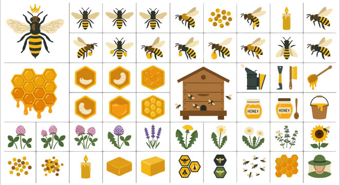 Honey bee life cycle and apiculture vector icon set featuring queen, comb, larvae, and flowers.