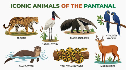 Fototapeta premium Set of animals from the Mato Grosso Pantanal
