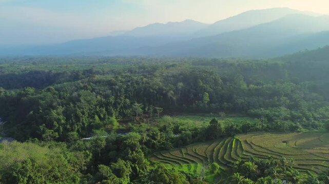 Aerial view of the lush green Kemumu rice terraces, river, and dense forest landscape in Arma Jaya, Bengkulu, Indonesia.