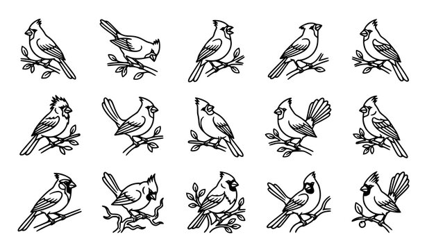 Northern Cardinal Bird Line Art Icon Set with Elegant Perched Songbird Vector Collection