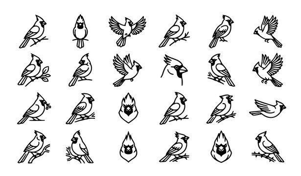 Elegant Northern Cardinal Outline Bird Icon Collection for Nature and Graphic Design