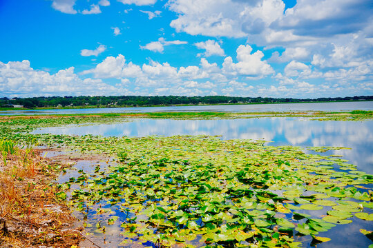 landscape of Lake Wales is a historic city in Polk County, Florida, highest point of Florida