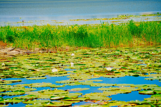 landscape of Lake Wales is a historic city in Polk County, Florida, highest point of Florida