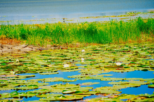 landscape of Lake Wales is a historic city in Polk County, Florida, highest point of Florida
