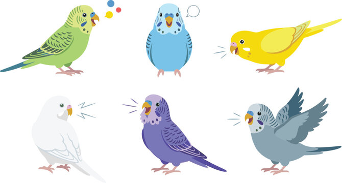 Colorful Budgerigar Parakeet Vector Illustration Set Featuring Talking Budgie Birds Squawking, Chirping, and Communicating with Speech Bubbles for Avian Media Designs