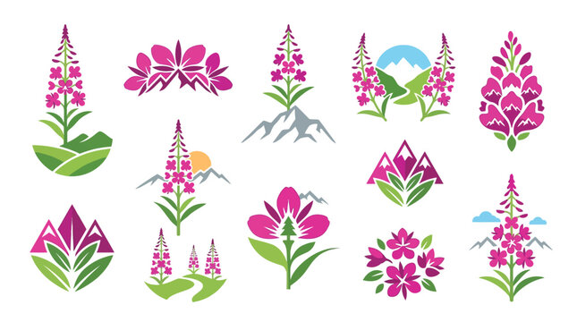 Collection of stylized illustrations of fireweed flowers and mountain landscapes.