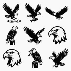 Naklejka premium Eagle Bird Silhouette Icon Set