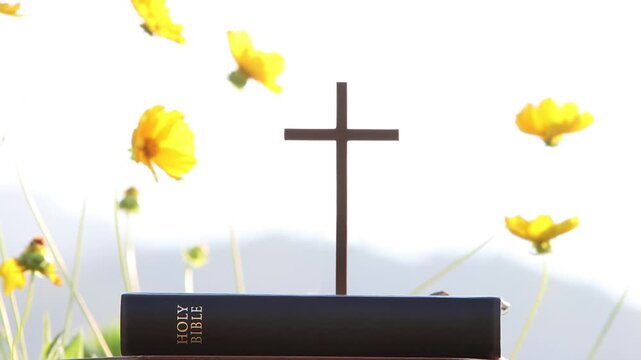 Background of a church summer retreat, summer Bible school, and summer camp featuring the sound of cool waves, the sea, a sandy beach, a Bible, and a cross.
