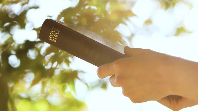 Christian holding a Bible against a background of bright sunlight shining through leaves, Christian faith concept
