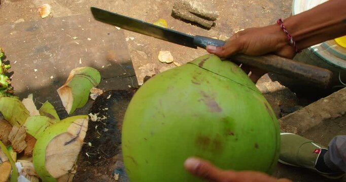 Hands of local man holding fresh green coconut and machete preparing for drinking on Nusa Penida Island