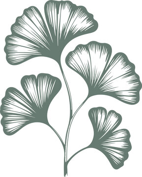 Three different styles of electric fan are shown, two of which are solid blue and one is a blue outline, all on transparent background.