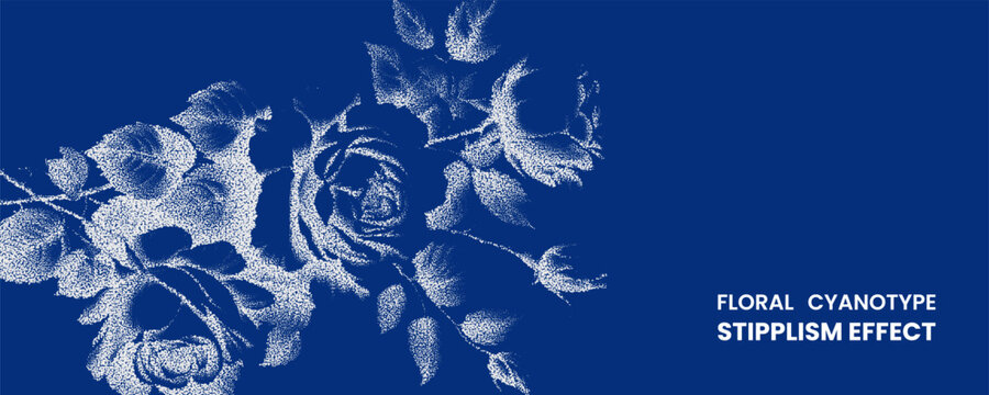 Floral cyanotype stipplism effect with white rose illustration on blue background clean outline symbols and architectural layouts