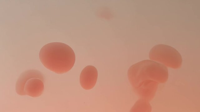 Warm Coral Peach Gradient Blobs Morphing in a Slow Lava Lamp Style Animation with Soft Organic Shapes