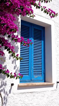 Traditional blue wooden shutters on a white house wall with blooming pink bougainvillea
