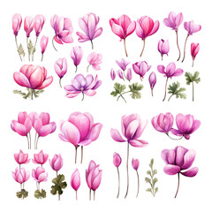 Obraz premium Watercolor Pink Magnolia Flower Collection, Elegant Floral Elements for Wedding Invitations and Romantic Design