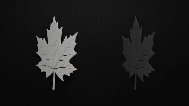 Minimalist Animated Maple Leaves Pulsing on Dark Background