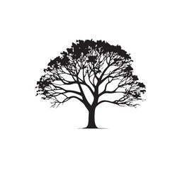 Fototapeta premium Black silhouette of a large tree with branches