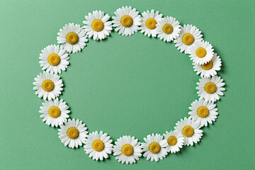 A circle of white daisies on a green background © Bo
