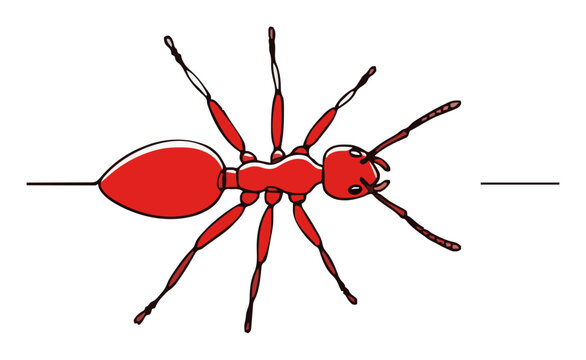Red ant insect crawling top view line art. Generative AI